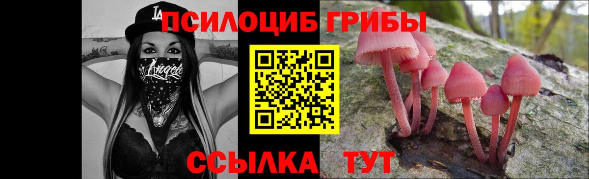 Псилоцибиновые грибы Psilocybe  Галлюциногенные грибы Psilocybe  Вход с VPN  Домодедово 